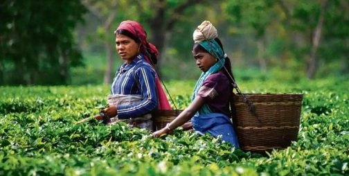 Assam Ki Rajdhani Kaha Hai